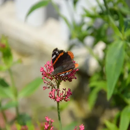 Folleville Near Asterix Park *